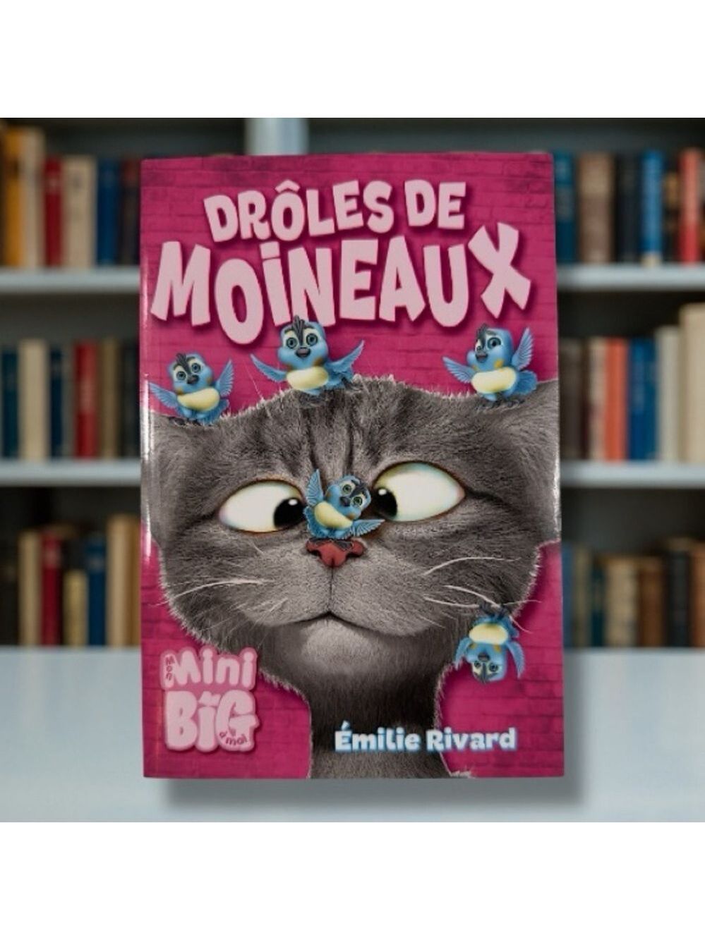 3📚/$25 Drôles de moineaux – Émilie Rivard